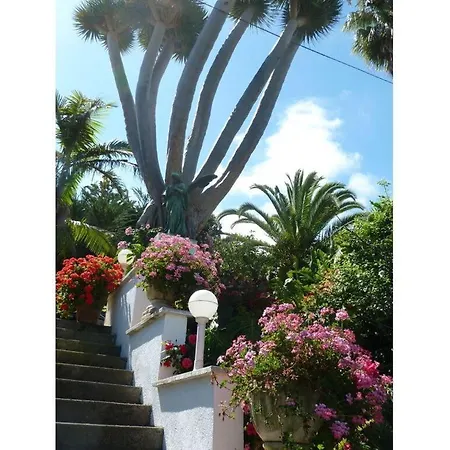Apartmán Casa Pedro In The Angel